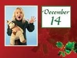 LIVING ADVENT CALENDAR